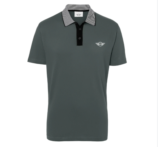 MINI Polo Men Striped Collar